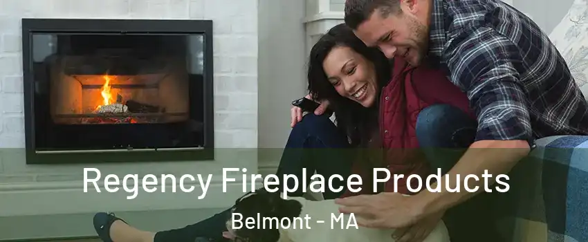  Regency Fireplace Products Belmont - MA