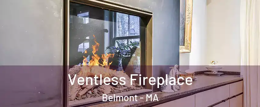  Ventless Fireplace Belmont - MA