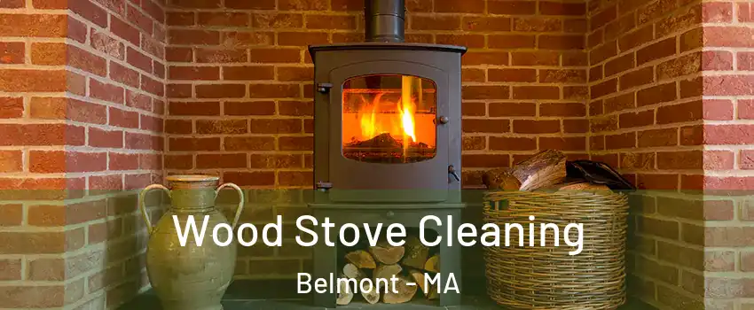  Wood Stove Cleaning Belmont - MA